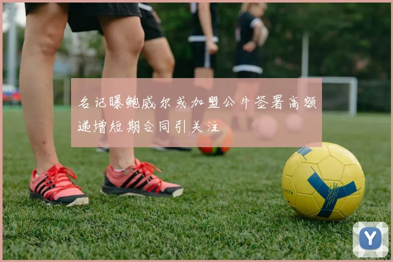 名记曝鲍威尔或加盟公牛签署高额递增短期合同引关注