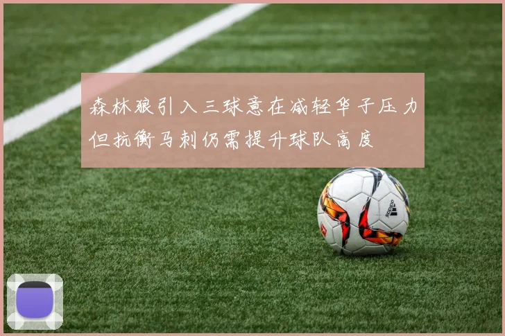 森林狼引入三球意在减轻华子压力但抗衡马刺仍需提升球队高度